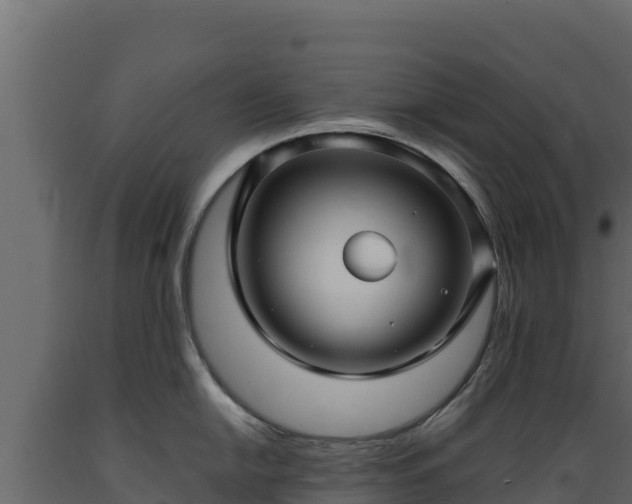 X0000089931054200707061035