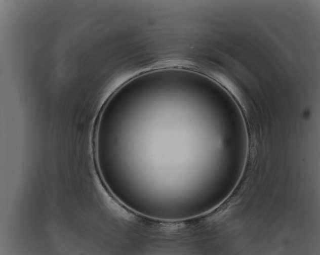 X0000089931055200707061035