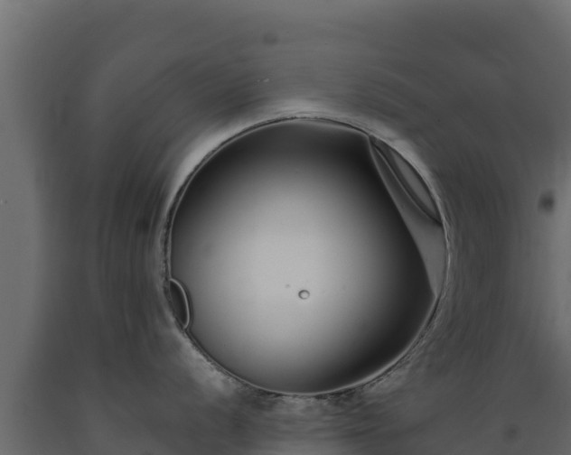 X0000089931056200707061035