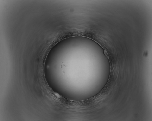 X0000089931057200707061035