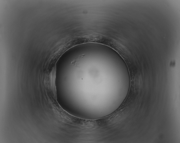 X0000089931058200707061035