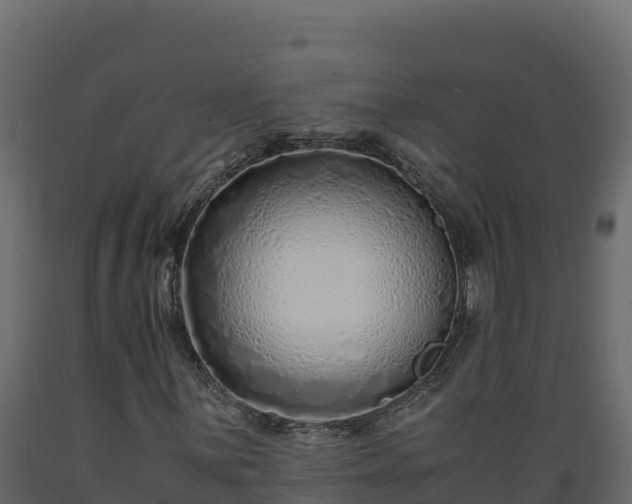 X0000089931059200707061035