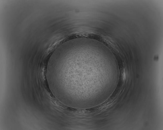 X0000089931060200707061035