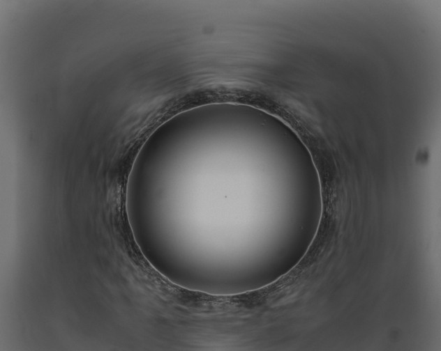 X0000089931061200707061035