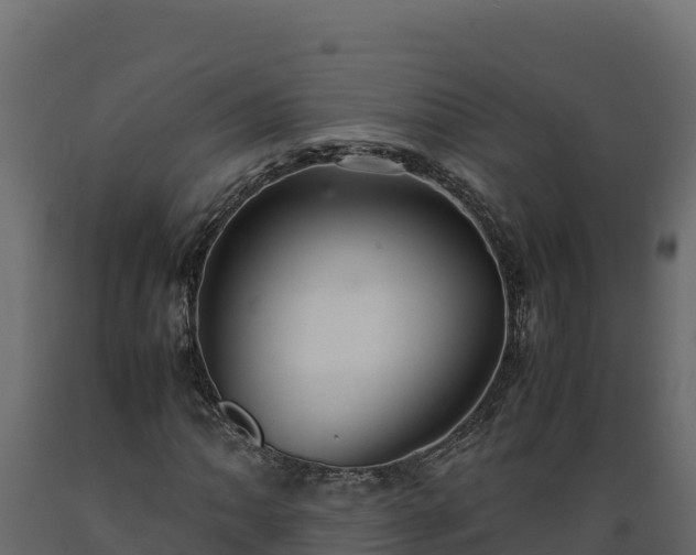 X0000089931062200707061035