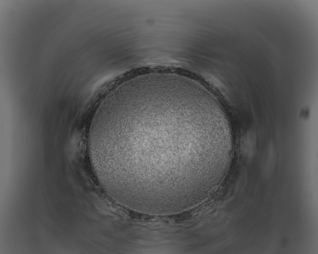 X0000089931063200707061035