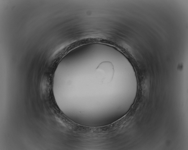 X0000089931064200707061035