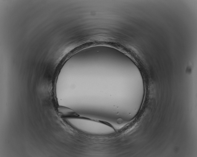 X0000089931065200707061035