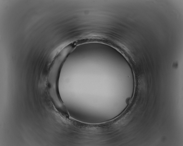 X0000089931066200707061035