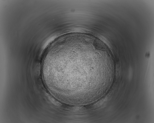 X0000089931067200707061035