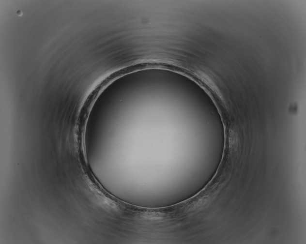 X0000089931068200707061035