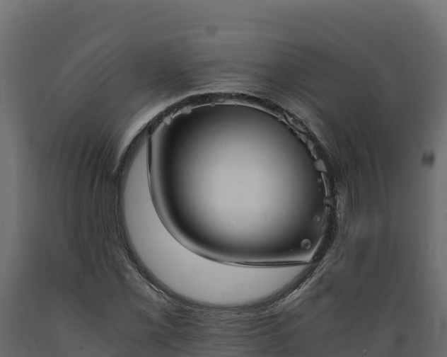 X0000089931069200707061035