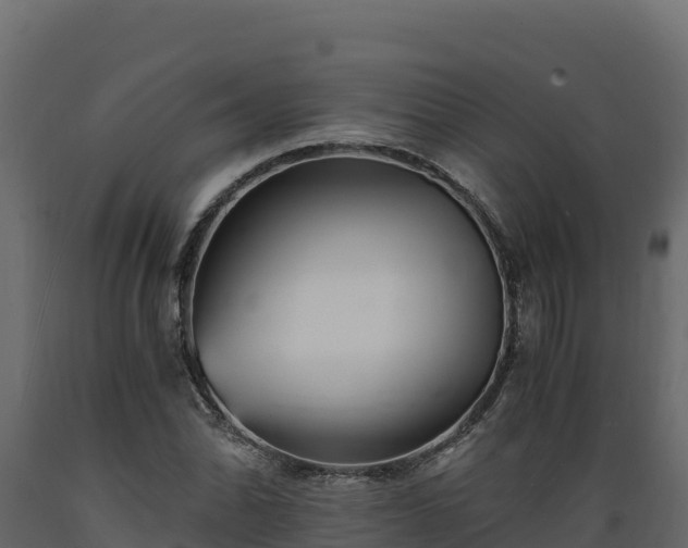 X0000089931070200707061035