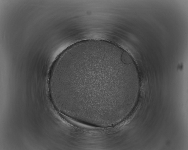 X0000089931071200707061035