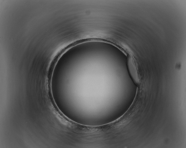 X0000089931072200707061035