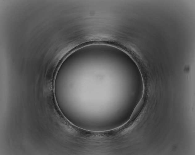 X0000089931073200707061035