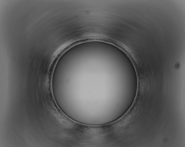 X0000089931074200707061035