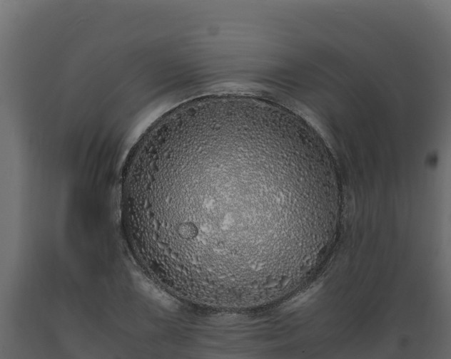 X0000089931075200707061035