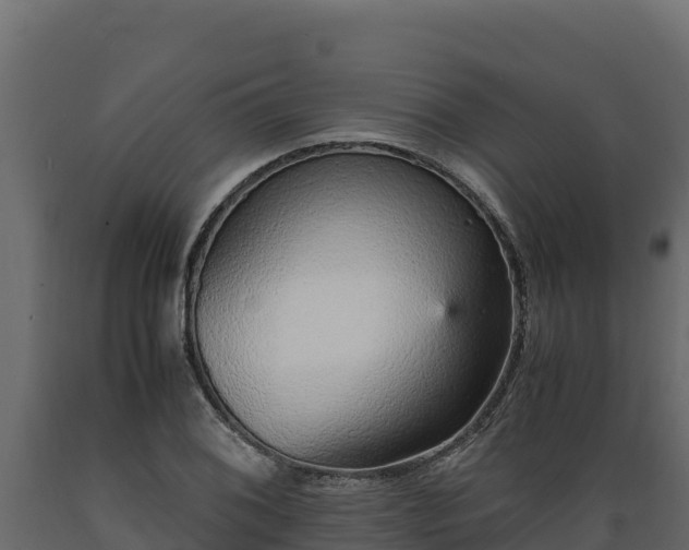 X0000089931076200707061035