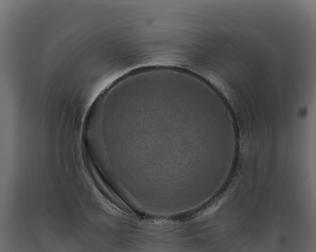 X0000089931077200707061035