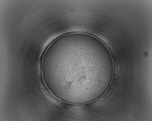 X0000089931078200707061035