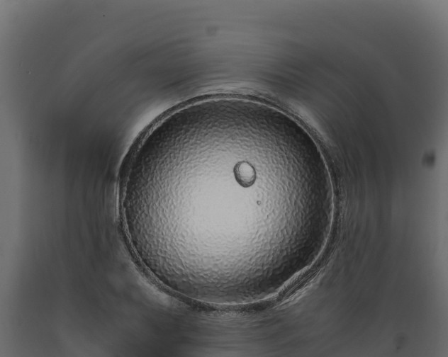 X0000089931079200707061035