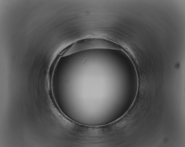 X0000089931080200707061035