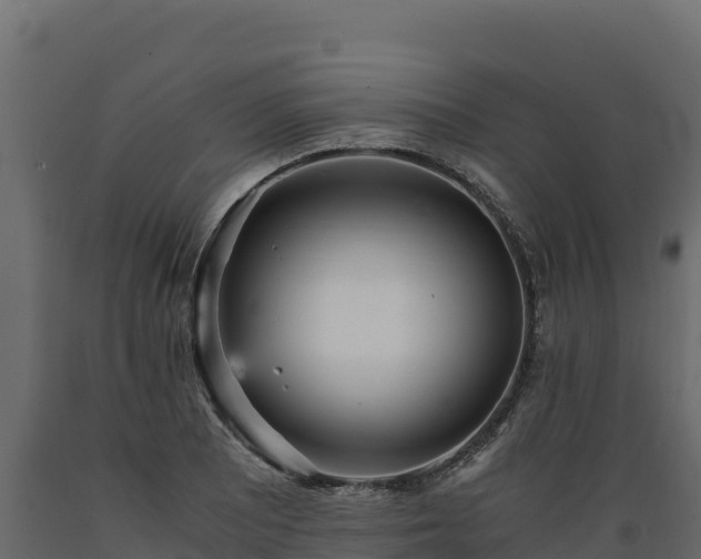 X0000089931081200707061035