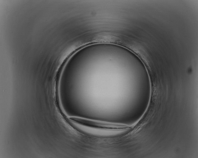 X0000089931083200707061034