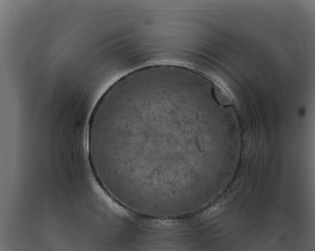 X0000089931084200707061034