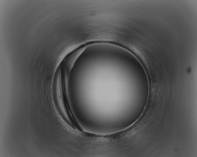 X0000089931085200707061034