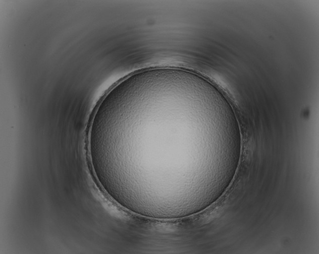 X0000089931086200707061034