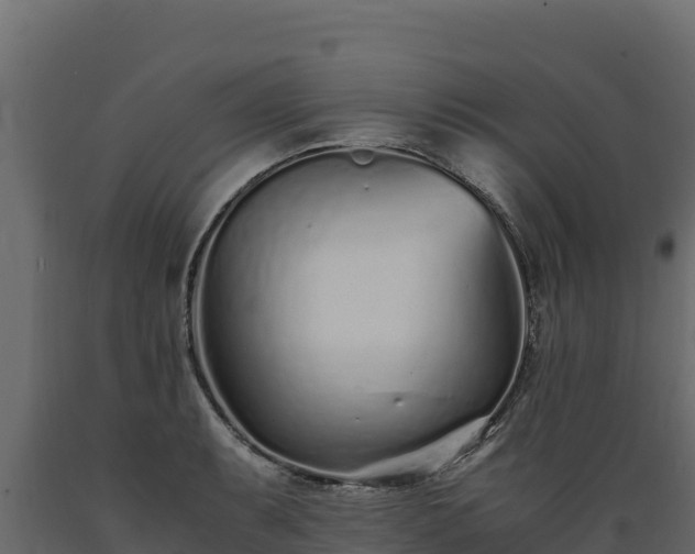 X0000089931087200707061034