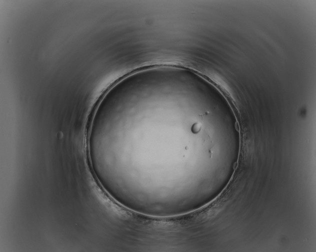 X0000089931088200707061034