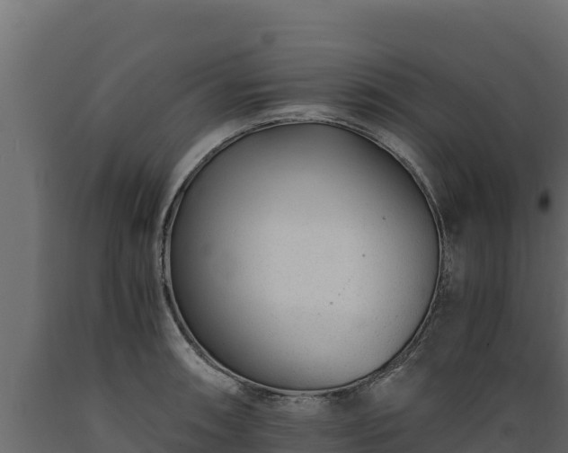 X0000089931090200707061034