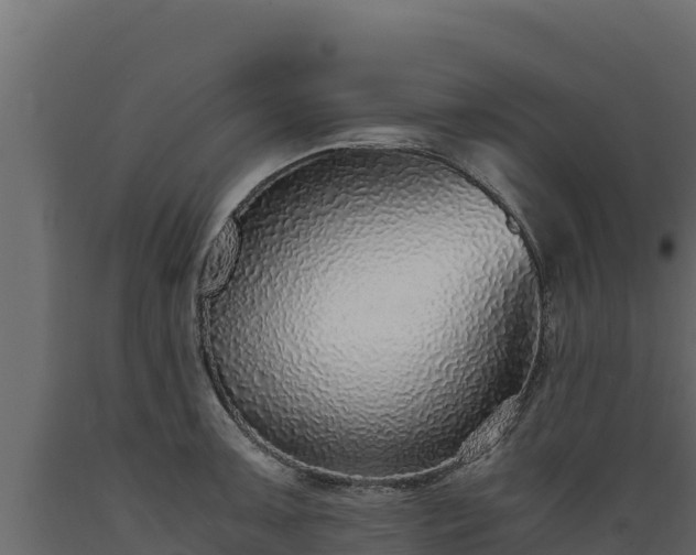 X0000089931091200707061034