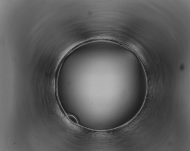 X0000089931092200707061034