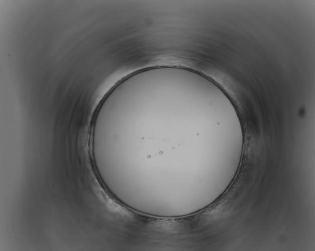 X0000089931094200707061034