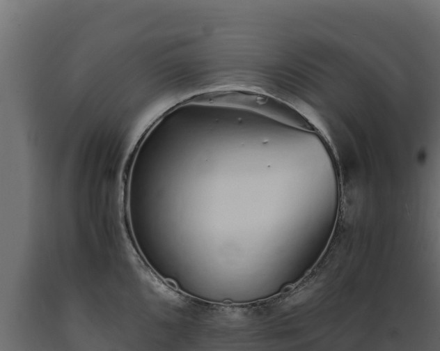 X0000089931096200707061034