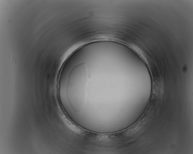 X0000089931098200707061034