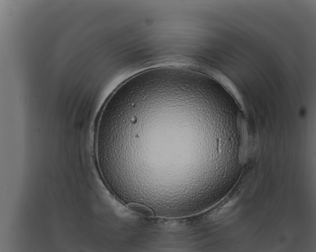 X0000089931099200707061034