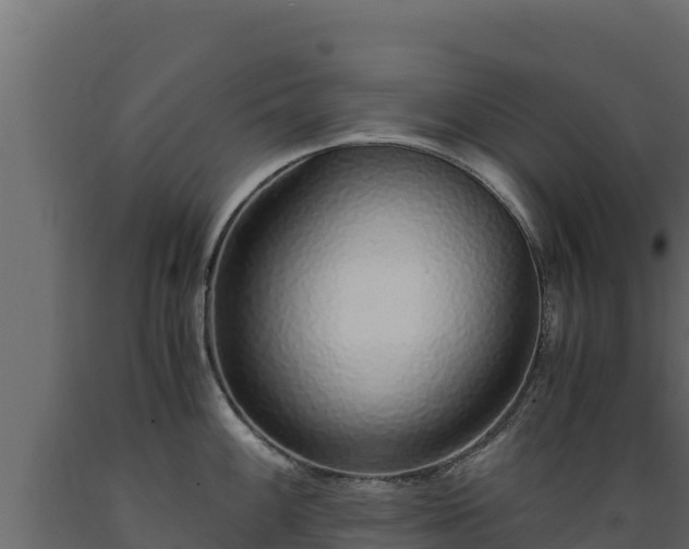 X0000089931100200707061034