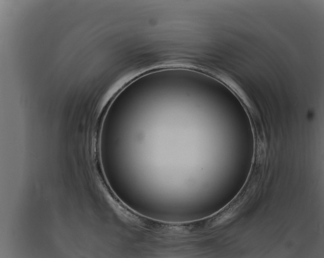 X0000089931101200707061034