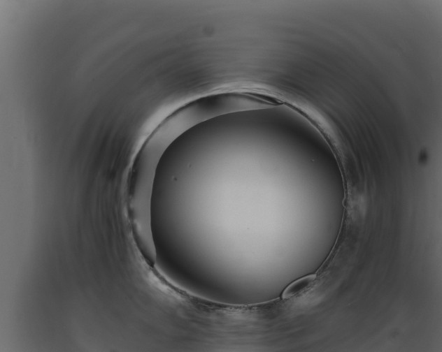 X0000089931102200707061034