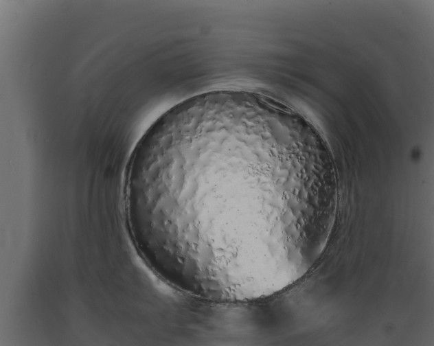 X0000089931103200707061034