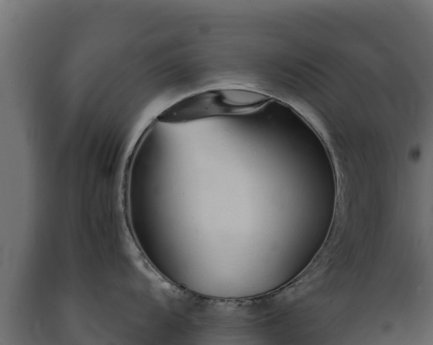 X0000089931104200707061034