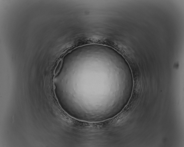 X0000089931105200707061033