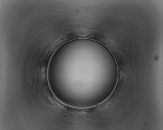 X0000089931106200707061033