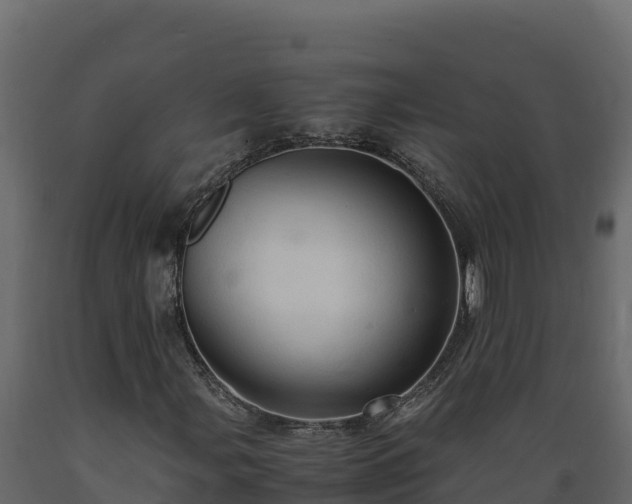 X0000089931107200707061033