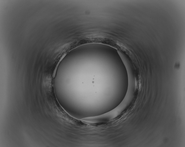 X0000089931108200707061033